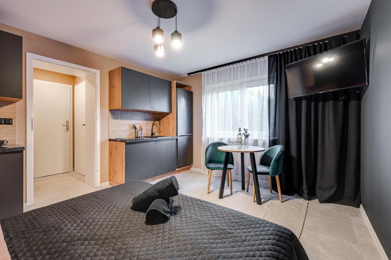 Loft House Apartment Studio Z Ogrodkiem 1 リブニク エクステリア 写真