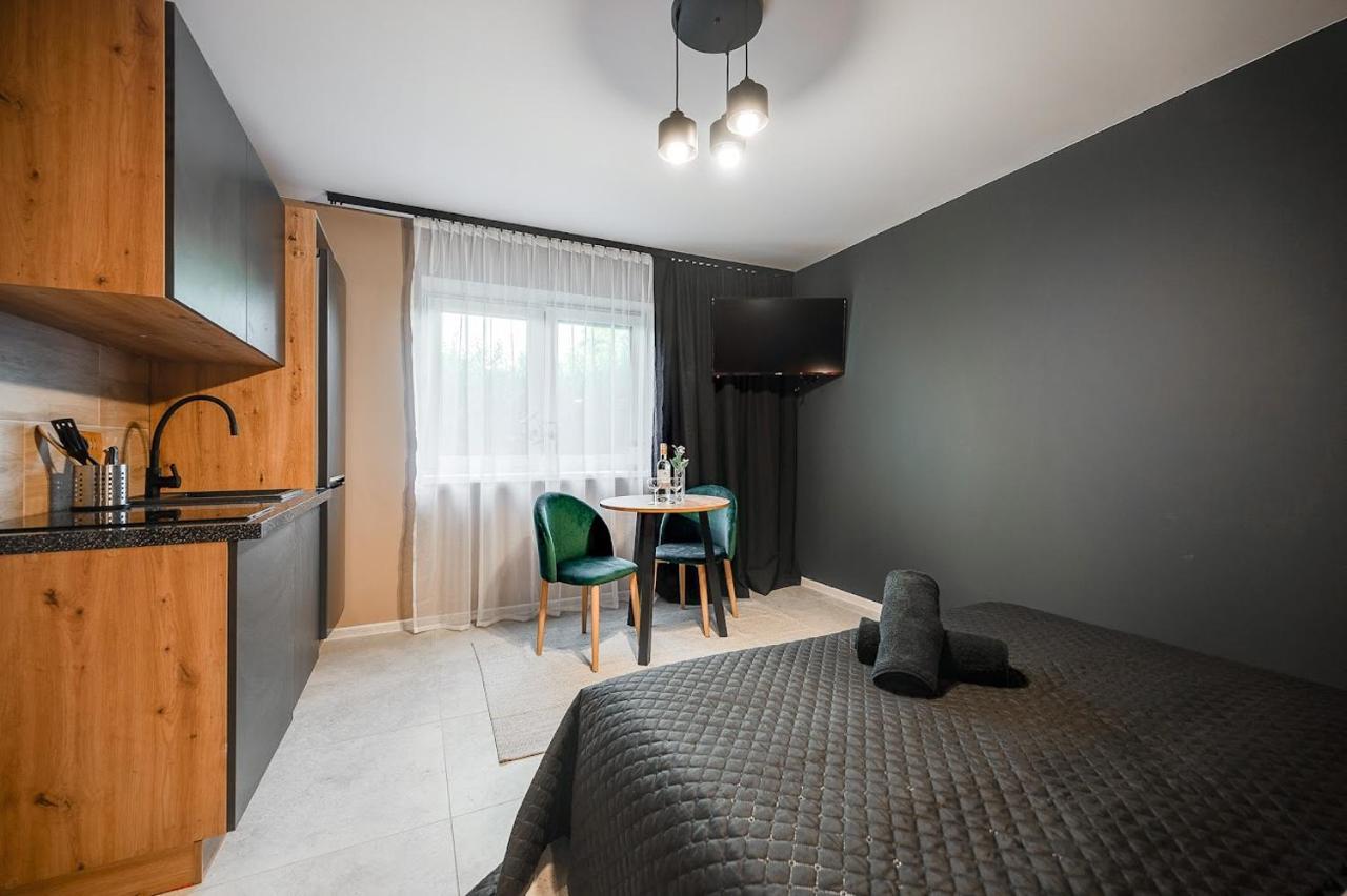 Loft House Apartment Studio Z Ogrodkiem 1 リブニク エクステリア 写真